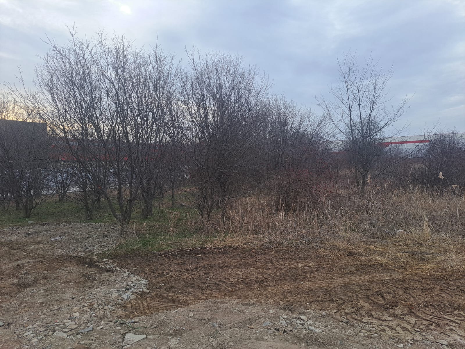 Echipament de defrisare operat de profesionisti cu experienta 